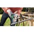 Угловая шлифмашина Bosch PWS 700-125 06033A2023