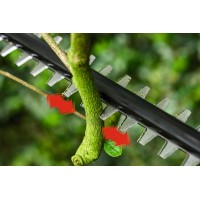 Аккумуляторный кусторез-высоторез Bosch UniversalHedgePole 18 06008B3000