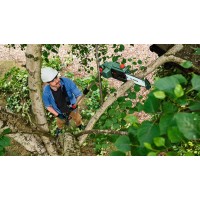 Аккумуляторный цепной высоторез Bosch UniversalChainPole 18 06008B3100