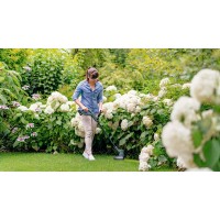 Аккумуляторный триммер Bosch EasyGrassCut 18-26 06008C1C00