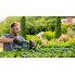Электрический кусторез Bosch UniversalHedgeCut 50 06008C0500