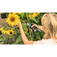 Аккумуляторный секатор Bosch EasyPrune 06008B2100 Аккумуляторный секатор Bosch EasyPrune 06008B2100