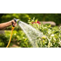 Аккумуляторный насос Bosch Garden Pump 06008C4200