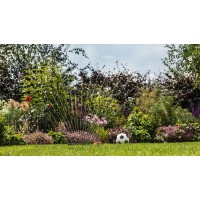 Аккумуляторный насос Bosch Garden Pump 06008C4200