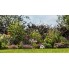 Аккумуляторный насос Bosch Garden Pump 06008C4200