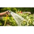 Аккумуляторный насос Bosch Garden Pump (без акк.) 06008C4201