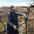 Аккумуляторный секатор Bosch Pro Pruner 06019K1021
