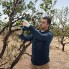 Аккумуляторный секатор Bosch Pro Pruner 06019K1021
