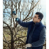 Аккумуляторный секатор Bosch Pro Pruner 06019K1021