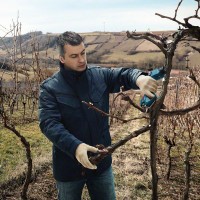 Аккумуляторный секатор Bosch Pro Pruner 06019K1021