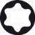 Набор из 10 насадок-бит Standard для шурупов с внутренним шлицем Torx (T)