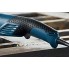 Угловая шлифмашина Bosch GWS 15-125 CIH (0601830222)