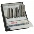 Набор из 10 пильных полотен Robust Line Metal Expert, с T-образным хвостовиком Bosch 2607010541
