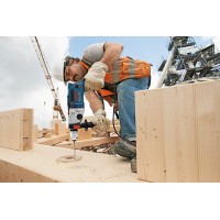 Ударная дрель  Bosch GSB 21-2 RCT (060119C700)