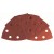 Шлифлисты C430 Expert for Wood and Paint
